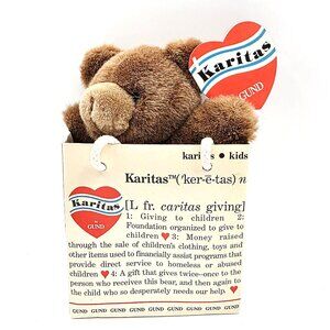 Gund Karitas Tender Teddy Brown Plush Teddy Bear 1989 Tags Gift Bag Vintage NOS
